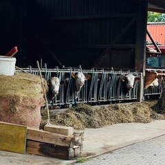 22-09-10 17-30-41 1957